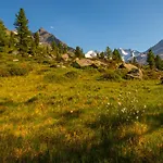 Haus Moikler Apartamento Zell am Ziller