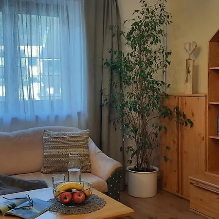 Haus Moikler Daire Zell am Ziller