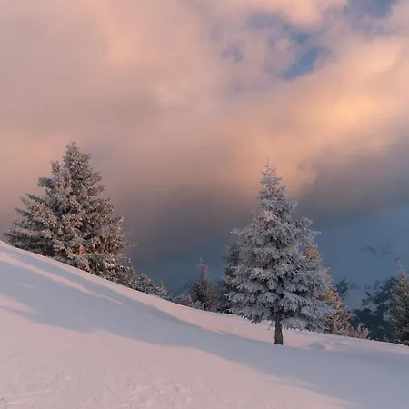 Daire Haus Moikler Zell am Ziller