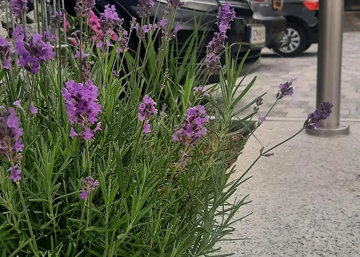 Haus Moikler Apartamento