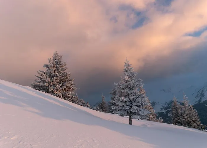 Appartement Haus Moikler Zell am Ziller
