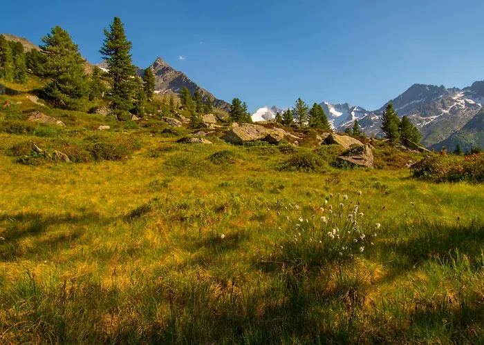 Haus Moikler Appartement Zell am Ziller
