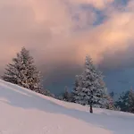 Apartament Haus Moikler Zell am Ziller