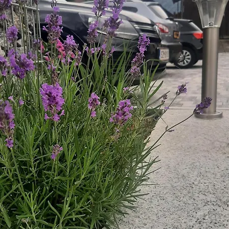 Haus Moikler Apartamento