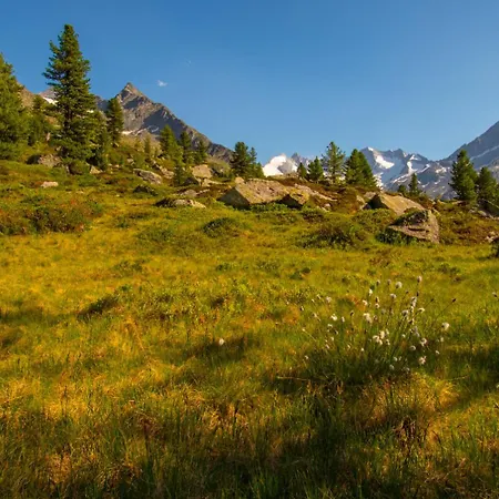 Haus Moikler Apartamento Zell am Ziller